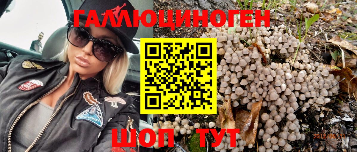 Псилоцибиновые грибы мухоморы  Псилоцибиновые грибы Cubensis  где купить   Вход с VPN  Тулун 