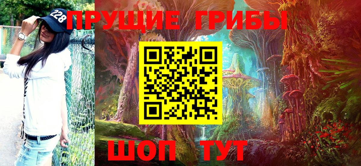 Галлюциногенные грибы Cubensis Тулун